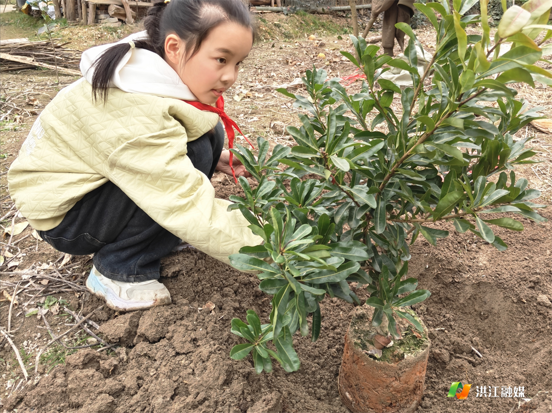 沙湾乡中心小学.png