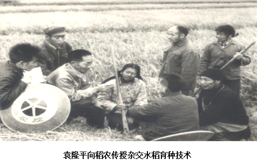 图片10.png